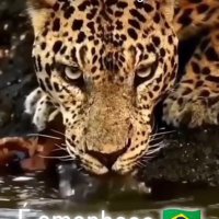 Rita de Cássia (@ritademaga57202) 's Twitter Profile