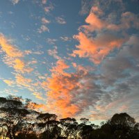 Edel Lyons (@dellyons1) 's Twitter Profile