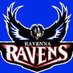 Laura Hebert (@ravennasupt) Twitter profile photo Laura Hebert (@ravennasupt) Twitter profile photo