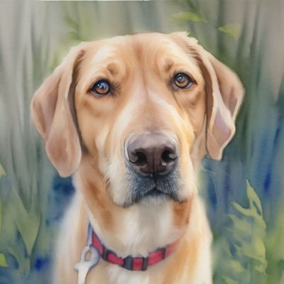 halljames77's profile picture. Naval Aviator @RoyalNavy MUFC20 🇾🇪 ‘Born in Rochdale, made in the Fleet Air Arm’ 🚁. Advocate for SEN “be who you are not who the world wants you to be”