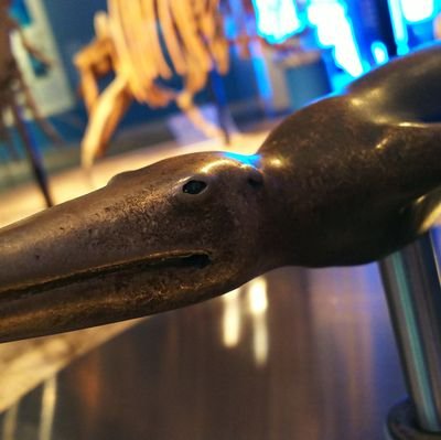 ShiningSSHERBET's profile picture. 〈le pollen〉
黒木渚 三原順 吉野朔実 シモーヌ・ヴェイユ ジョン・カサヴェテス 黒沢清 塩田明彦 押井守 山田尚子 少女革命ウテナ ウルトラマンネクサス ハートキャッチプリキュア! 久生十蘭 ジェイムズ・ティプトリー・ジュニア アンゼルム・キーファー ハーモニー 二階堂奥歯
〈/le pollen〉