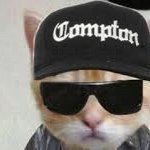 nonalignedembol's profile picture. Trust in the journey of life. #ARB #Web3DApps