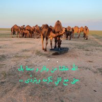 ابوعبدالله الدعيدع الحسني (@jalis4299) 's Twitter Profile