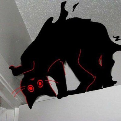 o6or00's profile picture. おいしい