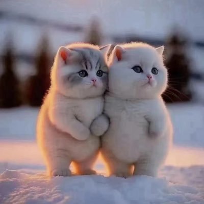 luoqinyao's profile picture. 进群的点下面链接-新群