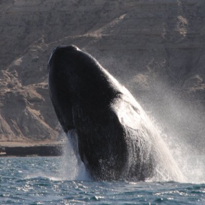 FlistingHi's profile picture. 