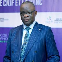 Isidore KWANDJA NGEMBO (@isidorekwandja) 's Twitter Profile