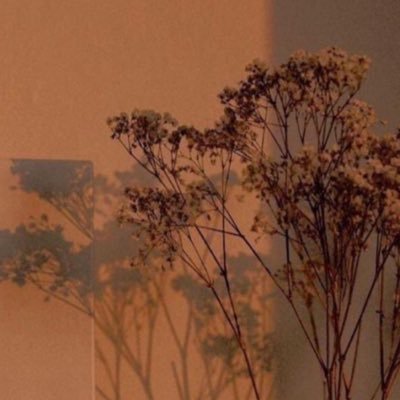 AlrymBnwt's profile picture. 