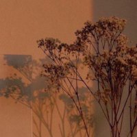 𓄃. (@alrymbnwt) 's Twitter Profile