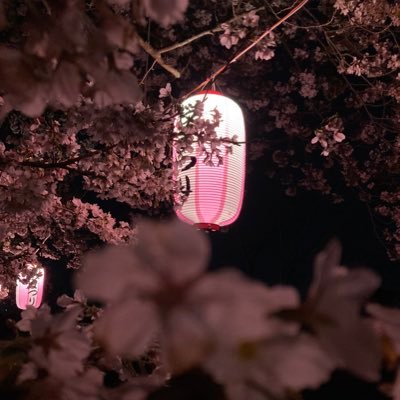 DrdbFfspyY74413's profile picture. 
