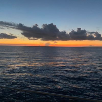 The_Nekt's profile picture. 