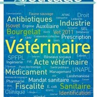 Info vétérinaire(@Vetitude) 's Twitter Profile Photo