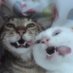 miss poopie 🇵🇸🇵🇸🇵🇸🇵🇸🇵🇸🇵🇸🇵🇸🇵🇸 (@cdmtsg) Twitter profile photo miss poopie 🇵🇸🇵🇸🇵🇸🇵🇸🇵🇸🇵🇸🇵🇸🇵🇸 (@cdmtsg) Twitter profile photo