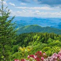 CrookedTennessee (@crookedtenness1) 's Twitter Profile Photo CrookedTennessee (@crookedtenness1) 's Twitter Profile Photo