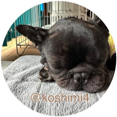 こしみん𓅹🌷.*さんのプロフィール画像