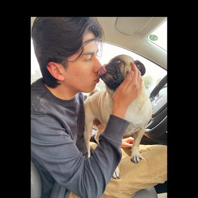 andresromolero3's profile picture. 