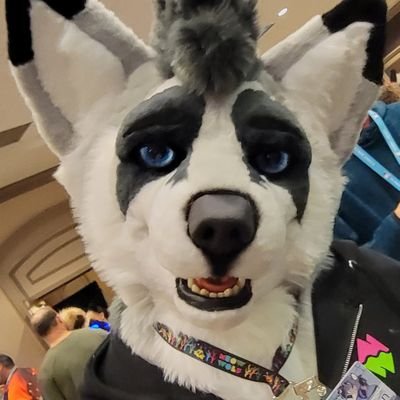 Wuff. Wildlife Biologist. Photographer. Firearms. Metal. Automotives. RC Cars. Avid camping/hiking/birding fan. NSFW 18+. He/him. Demi/Pan. AD: @UlvenXXX