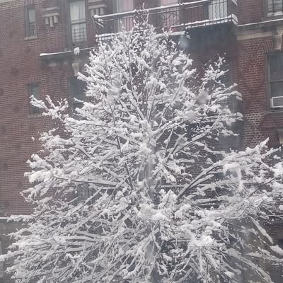 Kevo0_0's profile picture. I observe reality most of the problems in the world stem from peoples mind set created from misinformation and the lack of critical thinking. philosopher