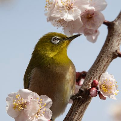 多趣味なカメラマン Ryoです。卓球🏓、写真📷、花火鑑賞🎆、いろんな趣味を持っています。カメラマン見習いです！よろしくお願いします