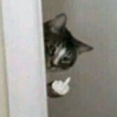 duckifi's profile picture. i hate kids