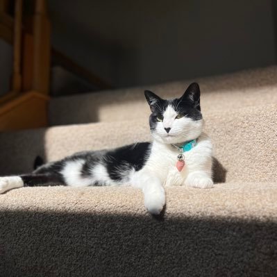 kaylamaeo's profile picture. 