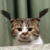 katira (@sacodnerb) 's Twitter Profile