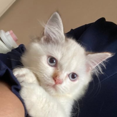 ndrfnd's profile picture. No negative thoughts allowed.