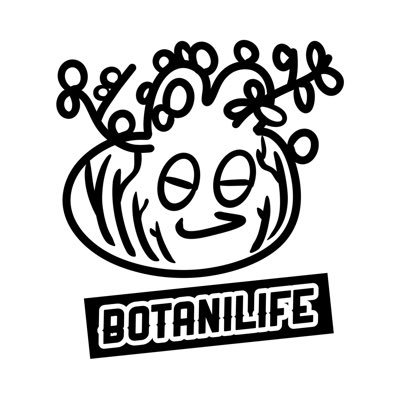 yuppy7367's profile picture. BOTANILIFE🌿塊根＆アガベ育成ブログ主宰 草を愛し、育て、記録する毎日。 ケラリア・ピグマエアは推し👑 📷https://t.co/PPFH3ZEx4a