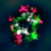 Imoto lab (@ytimtdynmn) 's Twitter Profile