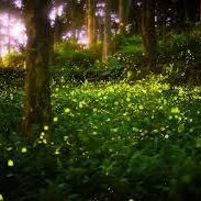 1Michat's profile picture. 