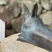 あおい (@so_dange) Twitter profile photo