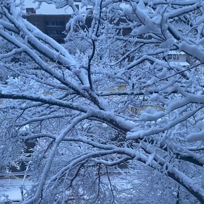 lauren____q's profile picture. thoughts & views are my own. ☘️