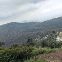 Ms (@aswinaswin27) 's Twitter Profile