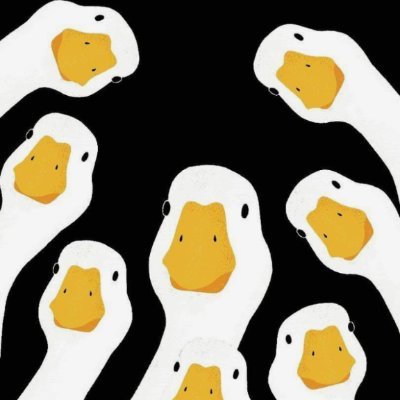 kingsley_arah's profile picture. Seek to understand, then be understood. ~ Stephen Covey.