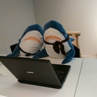 あざらし@税理士受験生 (@s______0924) 's Twitter Profile