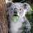 Carlos_SerranoR's profile image