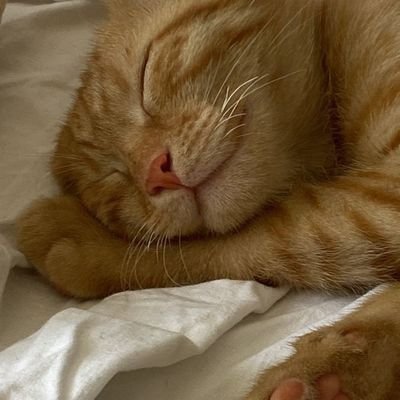 div59523's profile picture. 