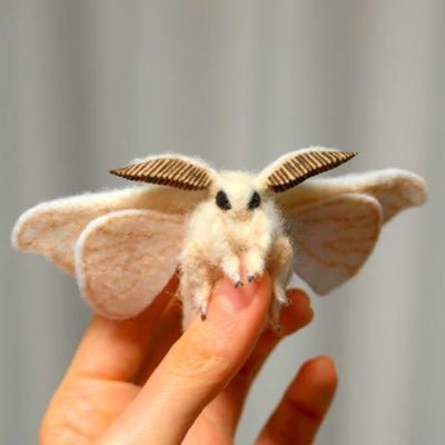 ghosthatdesigns's profile picture. Silkworm