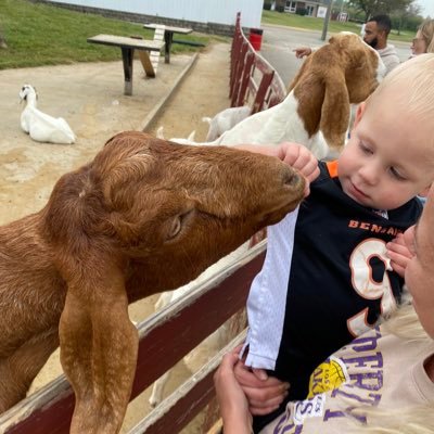 theREAL_english's profile picture. That’s just like, your opinion man