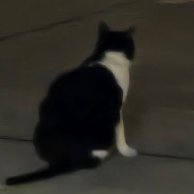 twxnkdxxth's profile picture. i complain and play maimai on the side