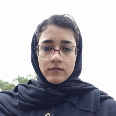 student, Iranian, apprentice