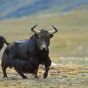 Luke Deleon - @DJayBeastMode - Twitter