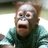 DamontGene11781's profile image