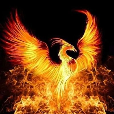 Kela_DIMDIM's profile picture. 