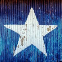 LonestarViz(@OneStarViz) 's Twitter Profile Photo