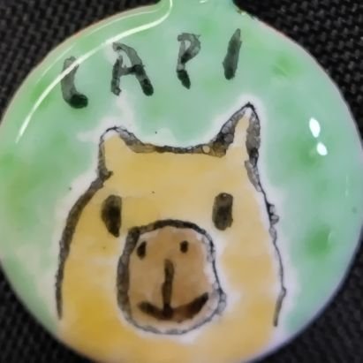 ウォーキング、低山ハイクに温泉めぐりが大好き♪カピバラ園ではカピバラの下僕に🤭移動は公共交通か自分の脚が頼りです!