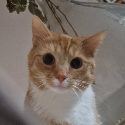 Dellingerrrrrr's profile picture. 