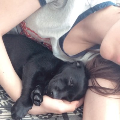 seungpau's profile picture. 