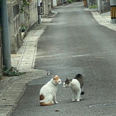 名探偵コナンが大好き/哀ちゃんラブ/コ哀ラブ/らんま好き/らんま声優大好き⇨コナン声優大好き