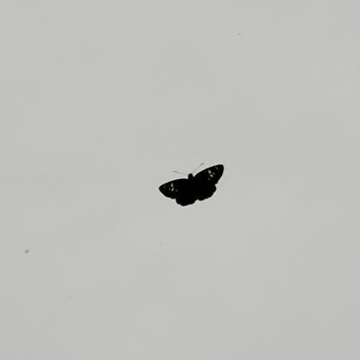 0k1uPheuyO18047's profile picture. 에센스👩157,3n/올리브👩162,3n 친구랑 같이 쓰는 계정 #양산 #부산 #초대녀 #섹트 #비떱 #초대남